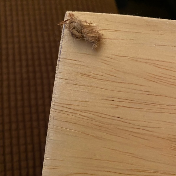 Wood burned picture of Bob Marley - Picture 8 of 13